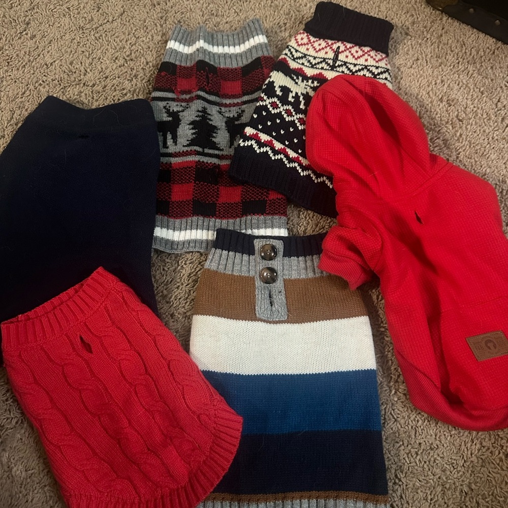 Dog clothes bundle